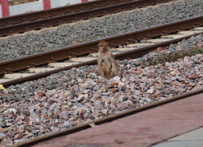 मनुष्य के जीवन में जो कुछ भी अच्छा या बुरा घटित हो रहा होता है ज्यादातर मामलों में उसका कोई योगदान नहीं होता